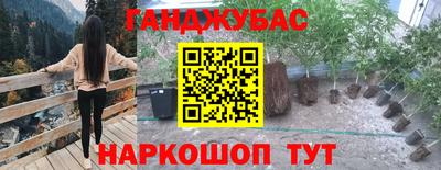 прущие грибы Ставрополь