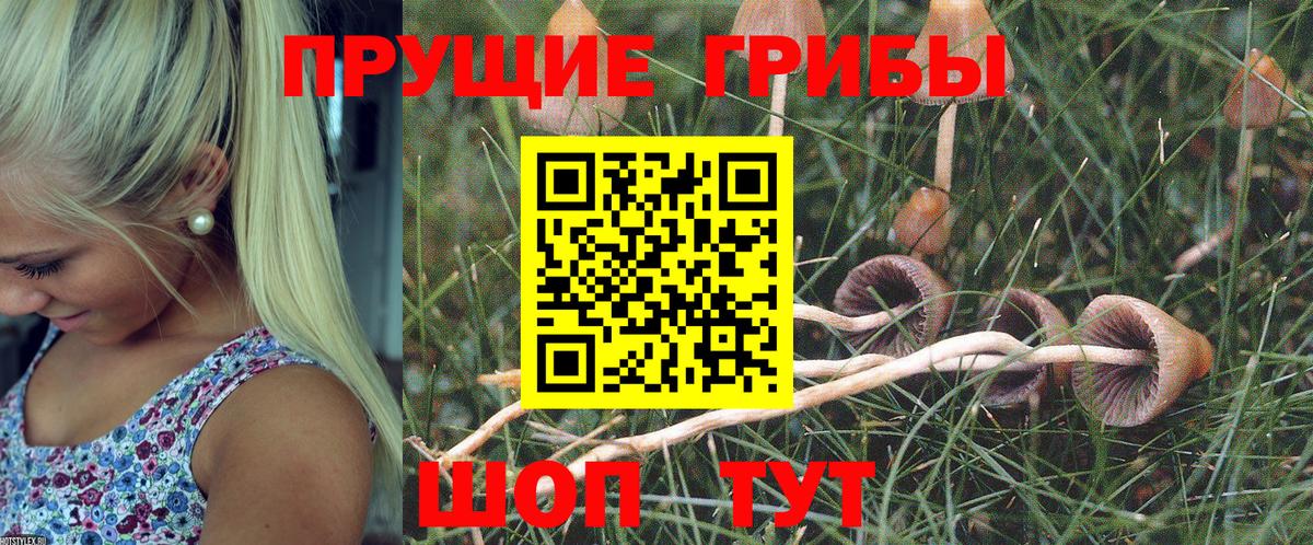 Новочебоксарск  Галлюциногенные грибы ЛСД  Вход с VPN  Псилоцибиновые грибы прущие грибы 